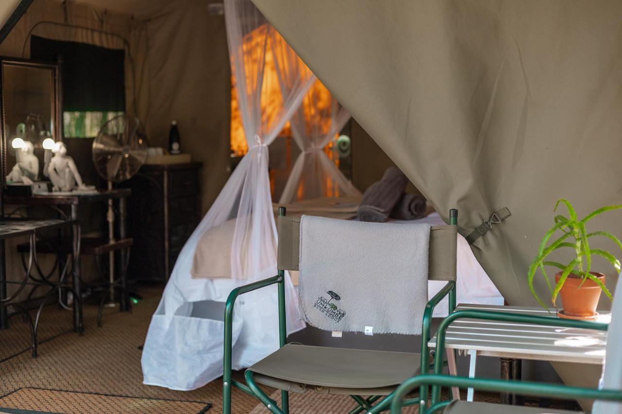 Umkumbe Bush Lodge - Luxury Tented Camp เขตอนุรักษ์พันธุ์สัตว์ป่าซาบีแซนด์ ภายนอก รูปภาพ
